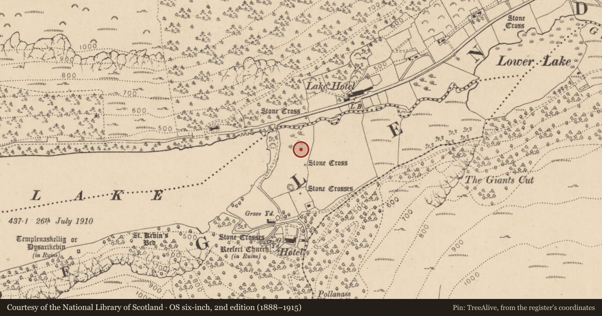 Ordnance Survey six-inch map, 2nd edition (1888–1915) covering the location of Ringfort - cashel, Lugduff, County Wicklow, with a pin at the register's coordinates