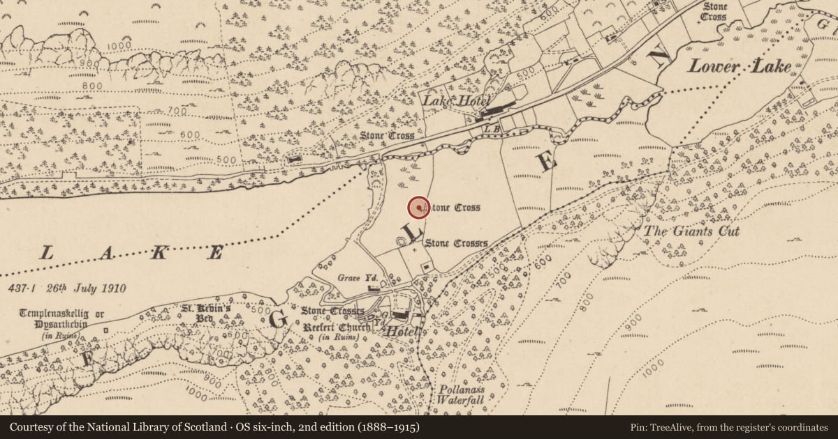 Ordnance Survey six-inch map, 2nd edition (1888–1915) covering the location of Cross, Lugduff, County Wicklow, with a pin at the register's coordinates