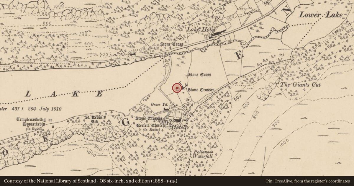 Ordnance Survey six-inch map, 2nd edition (1888–1915) covering the location of Ringfort - cashel, Lugduff, County Wicklow, with a pin at the register's coordinates