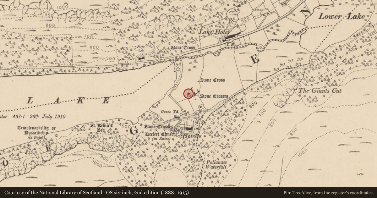 Ordnance Survey six-inch map, 2nd edition (1888–1915) covering the location of Cross, Lugduff, County Wicklow, with a pin at the register's coordinates