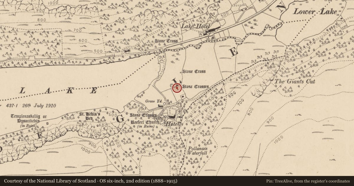 Ordnance Survey six-inch map, 2nd edition (1888–1915) covering the location of Cross, Lugduff, County Wicklow, with a pin at the register's coordinates