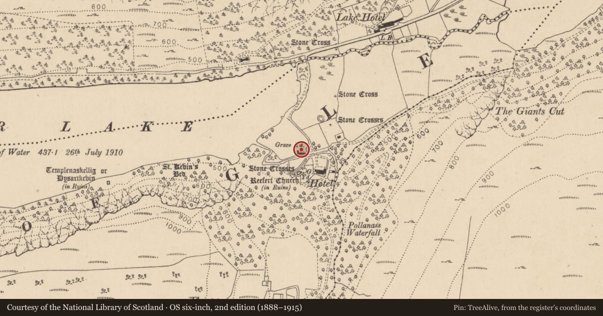 Ordnance Survey six-inch map, 2nd edition (1888–1915) covering the location of Cross, Lugduff, County Wicklow, with a pin at the register's coordinates