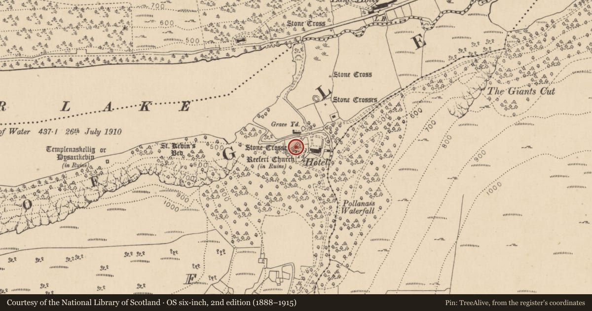 Ordnance Survey six-inch map, 2nd edition (1888–1915) covering the location of Cross-slab, Lugduff, County Wicklow, with a pin at the register's coordinates