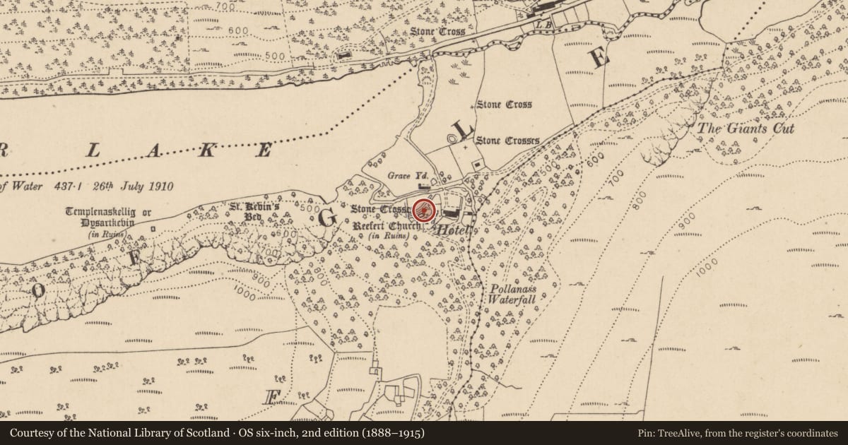 Ordnance Survey six-inch map, 2nd edition (1888–1915) covering the location of Graveyard, Lugduff, County Wicklow, with a pin at the register's coordinates