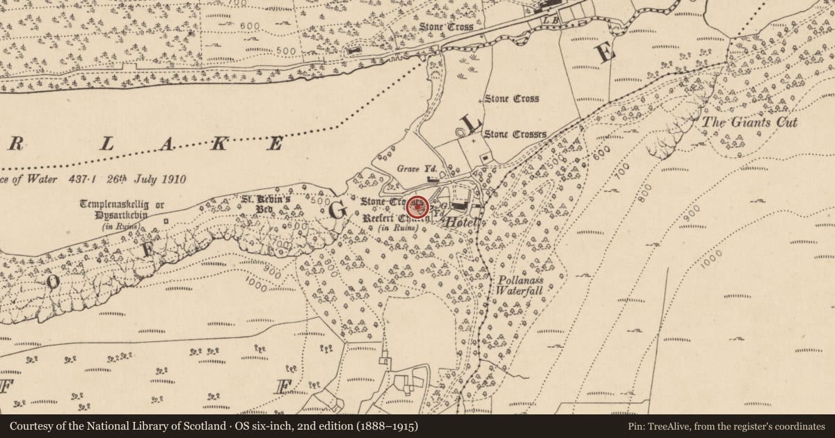 Ordnance Survey six-inch map, 2nd edition (1888–1915) covering the location of Cross, Lugduff, County Wicklow, with a pin at the register's coordinates