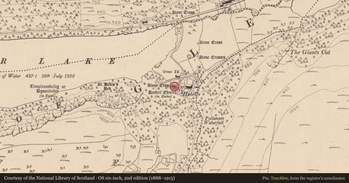 Ordnance Survey six-inch map, 2nd edition (1888–1915) covering the location of Cross, Lugduff, County Wicklow, with a pin at the register's coordinates