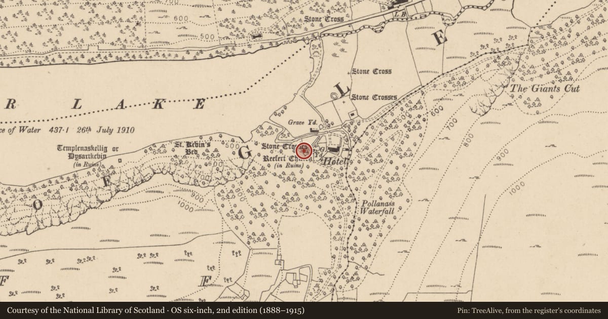 Ordnance Survey six-inch map, 2nd edition (1888–1915) covering the location of Cross, Lugduff, County Wicklow, with a pin at the register's coordinates