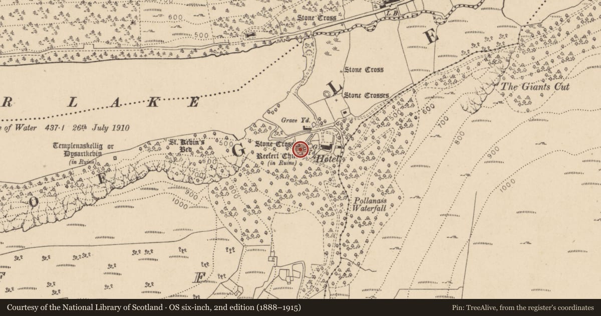 Ordnance Survey six-inch map, 2nd edition (1888–1915) covering the location of Cross, Lugduff, County Wicklow, with a pin at the register's coordinates