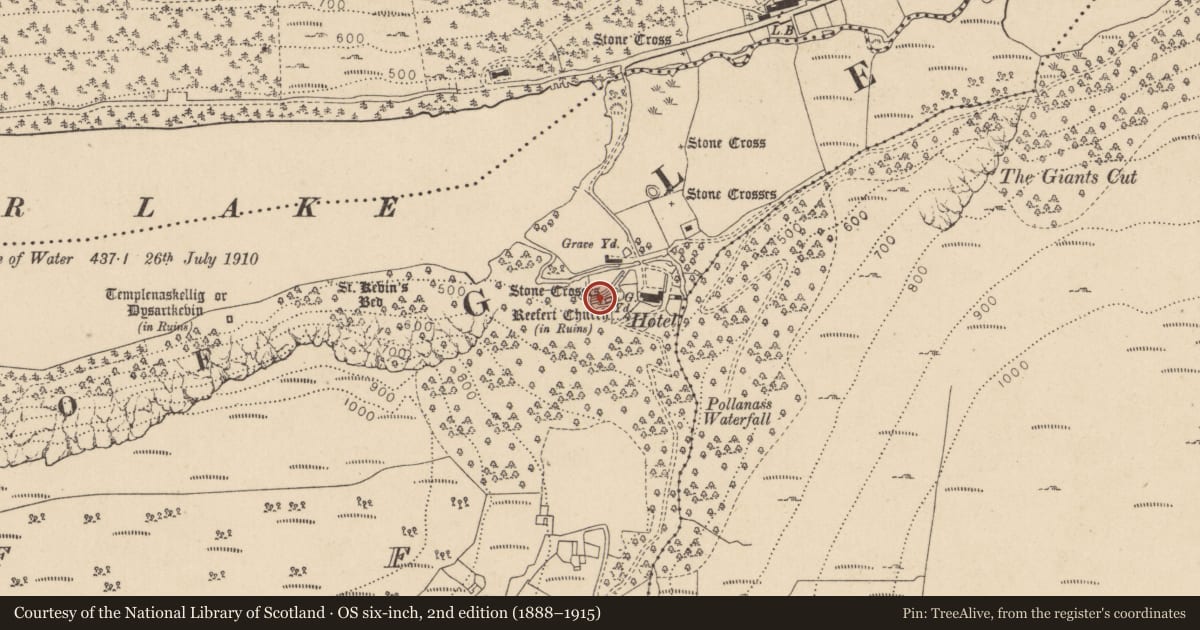Ordnance Survey six-inch map, 2nd edition (1888–1915) covering the location of Cross-slab, Lugduff, County Wicklow, with a pin at the register's coordinates