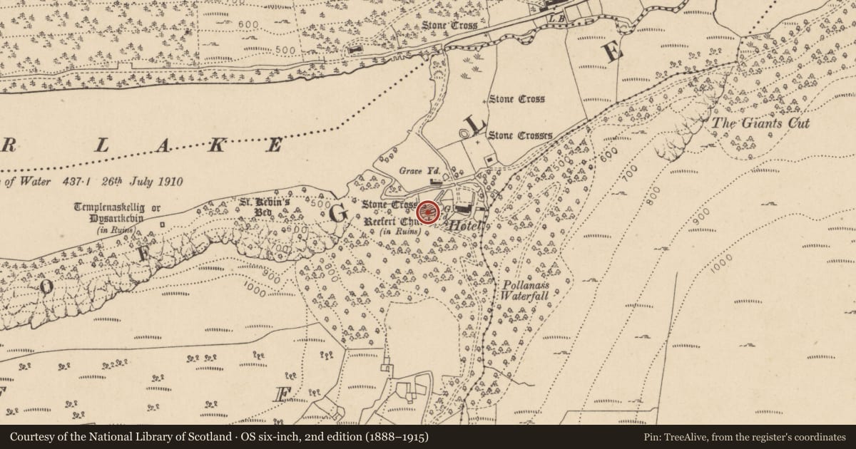Ordnance Survey six-inch map, 2nd edition (1888–1915) covering the location of Cross, Lugduff, County Wicklow, with a pin at the register's coordinates