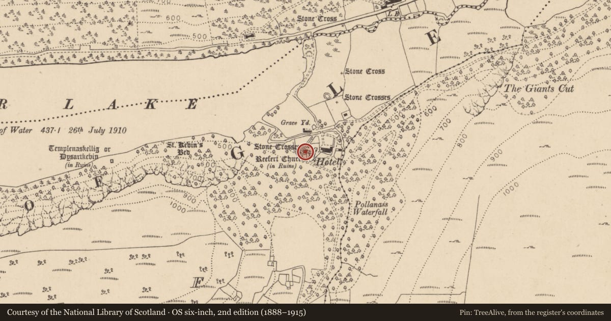 Ordnance Survey six-inch map, 2nd edition (1888–1915) covering the location of Graveslab, Lugduff, County Wicklow, with a pin at the register's coordinates