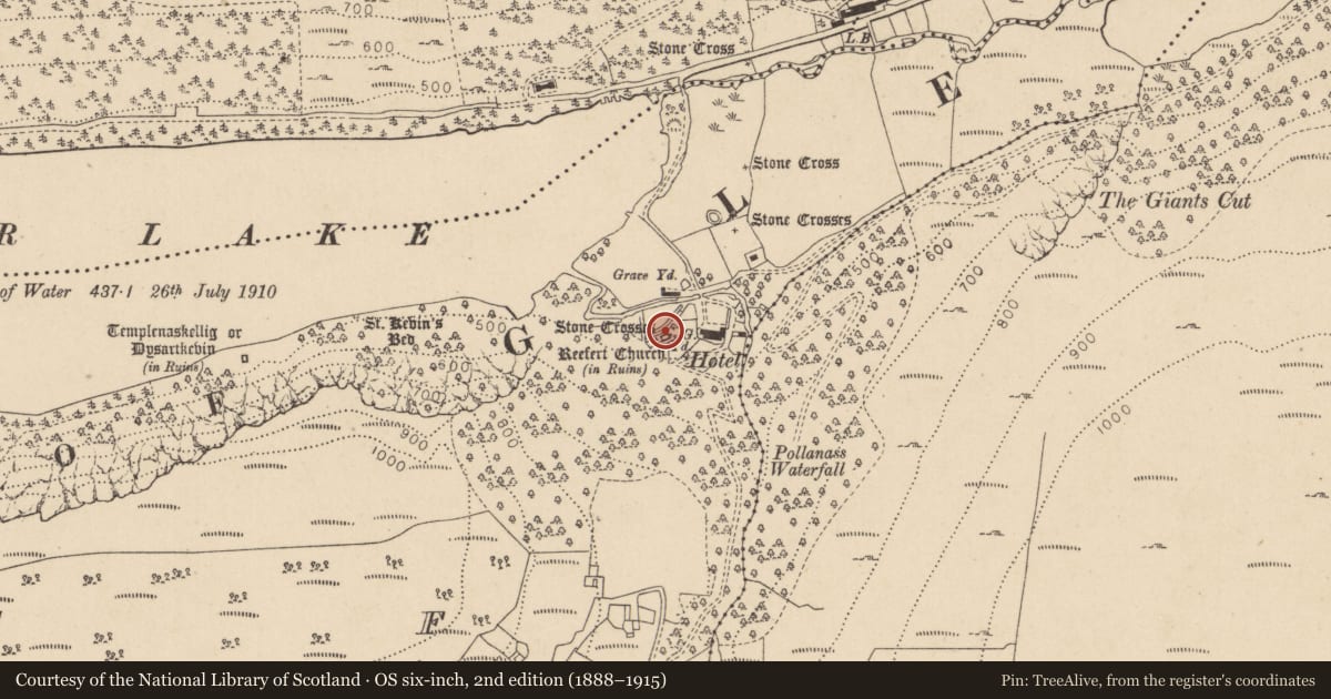 Ordnance Survey six-inch map, 2nd edition (1888–1915) covering the location of Cross, Lugduff, County Wicklow, with a pin at the register's coordinates