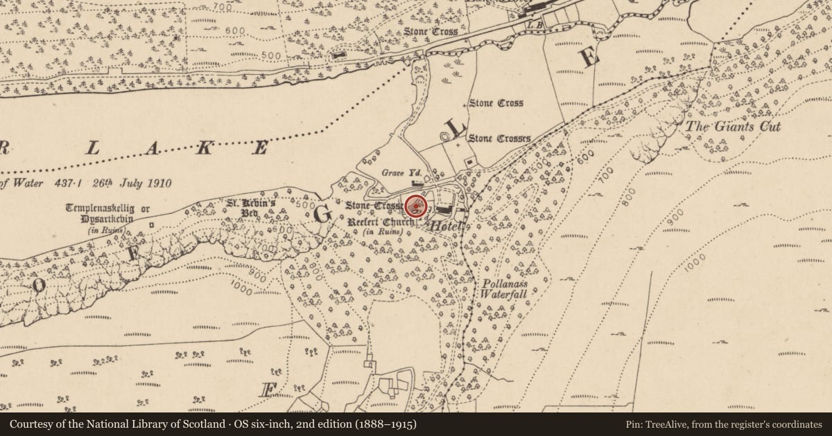 Ordnance Survey six-inch map, 2nd edition (1888–1915) covering the location of Cross, Lugduff, County Wicklow, with a pin at the register's coordinates
