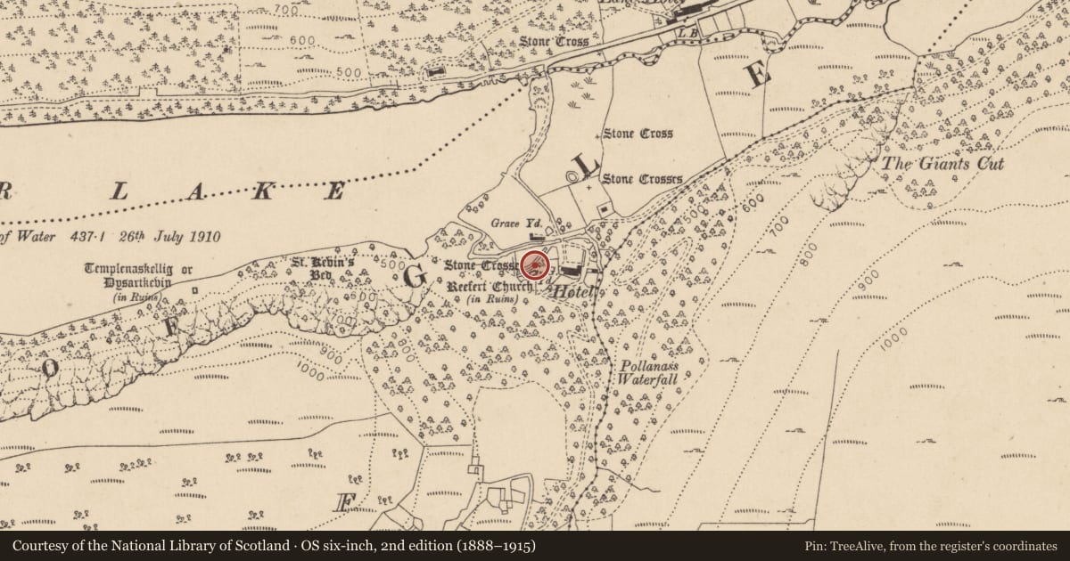 Ordnance Survey six-inch map, 2nd edition (1888–1915) covering the location of Cross, Lugduff, County Wicklow, with a pin at the register's coordinates