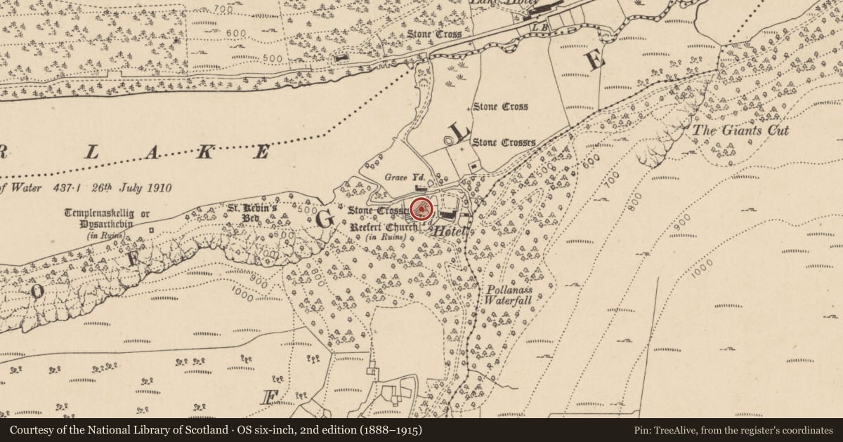 Ordnance Survey six-inch map, 2nd edition (1888–1915) covering the location of Cross, Lugduff, County Wicklow, with a pin at the register's coordinates