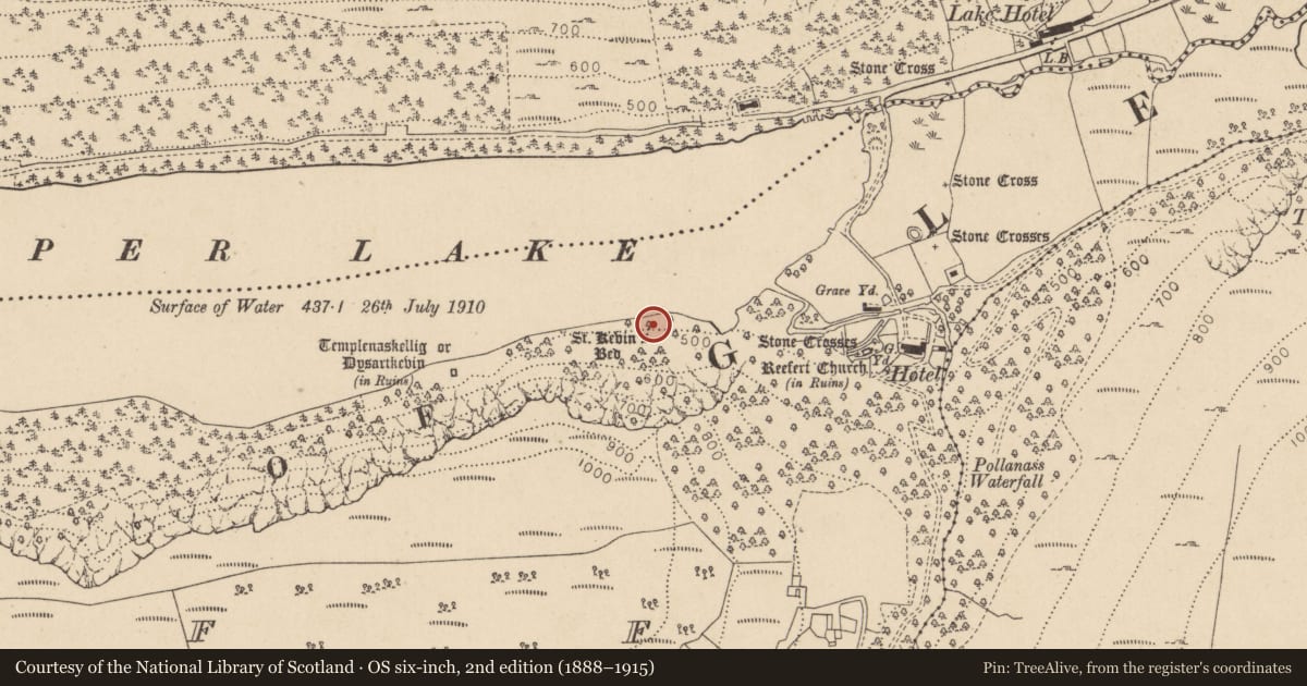 Ordnance Survey six-inch map, 2nd edition (1888–1915) covering the location of Charcoal-making site, Lugduff, County Wicklow, with a pin at the register's coordinates