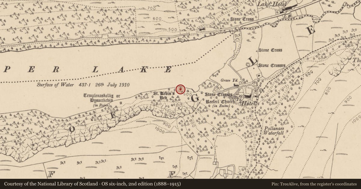 Ordnance Survey six-inch map, 2nd edition (1888–1915) covering the location of Charcoal-making site, Lugduff, County Wicklow, with a pin at the register's coordinates