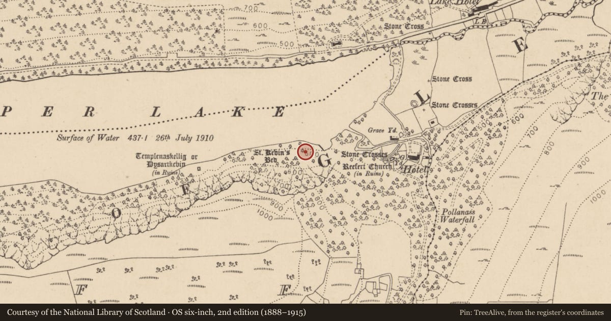 Ordnance Survey six-inch map, 2nd edition (1888–1915) covering the location of Charcoal-making site, Lugduff, County Wicklow, with a pin at the register's coordinates