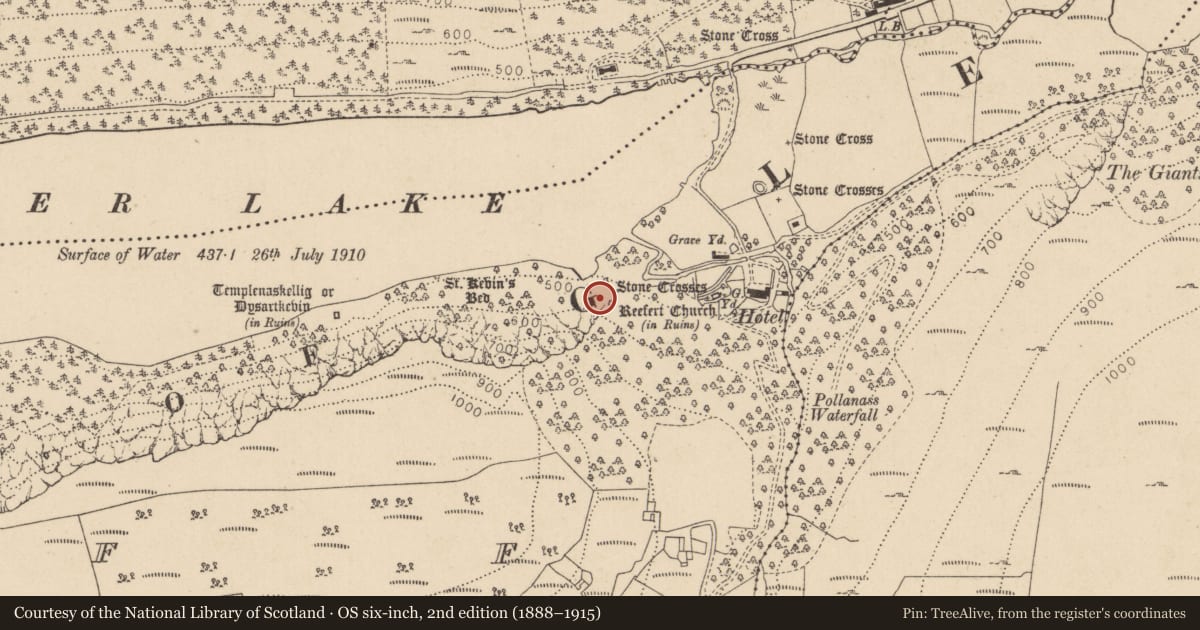 Ordnance Survey six-inch map, 2nd edition (1888–1915) covering the location of Charcoal-making site, Lugduff, County Wicklow, with a pin at the register's coordinates