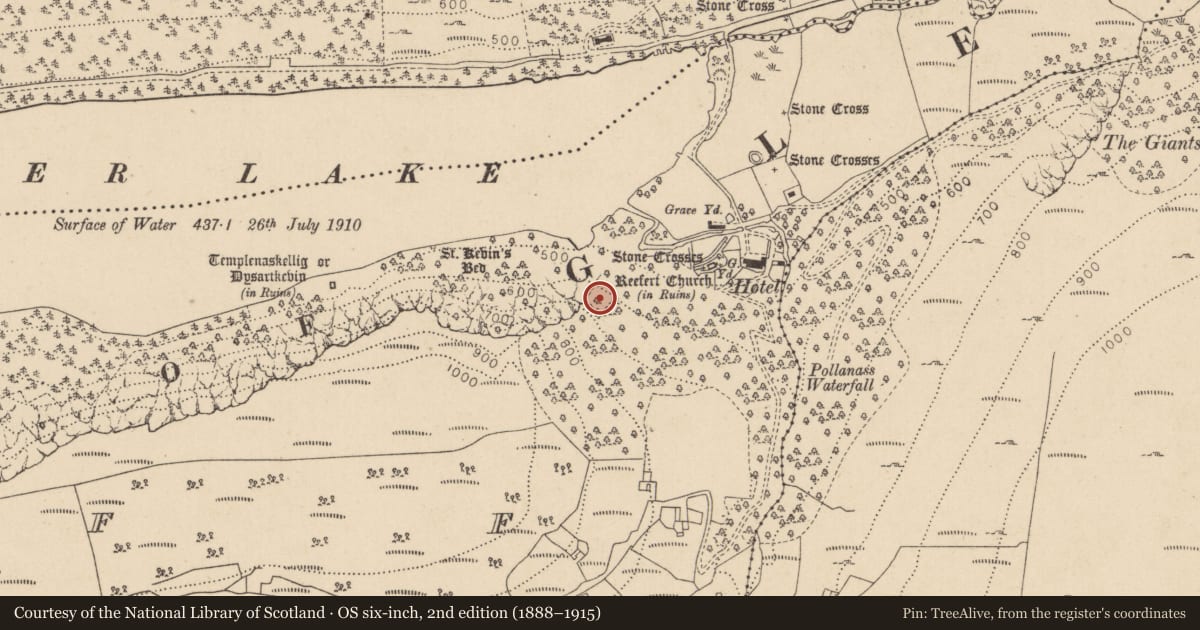 Ordnance Survey six-inch map, 2nd edition (1888–1915) covering the location of Charcoal-making site, Lugduff, County Wicklow, with a pin at the register's coordinates