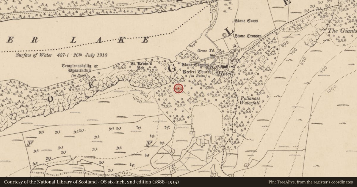 Ordnance Survey six-inch map, 2nd edition (1888–1915) covering the location of Charcoal-making site, Lugduff, County Wicklow, with a pin at the register's coordinates