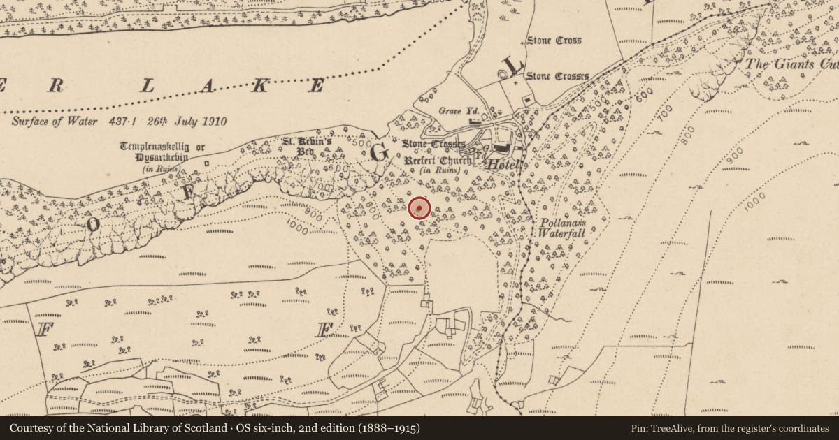 Ordnance Survey six-inch map, 2nd edition (1888–1915) covering the location of Charcoal-making site, Lugduff, County Wicklow, with a pin at the register's coordinates