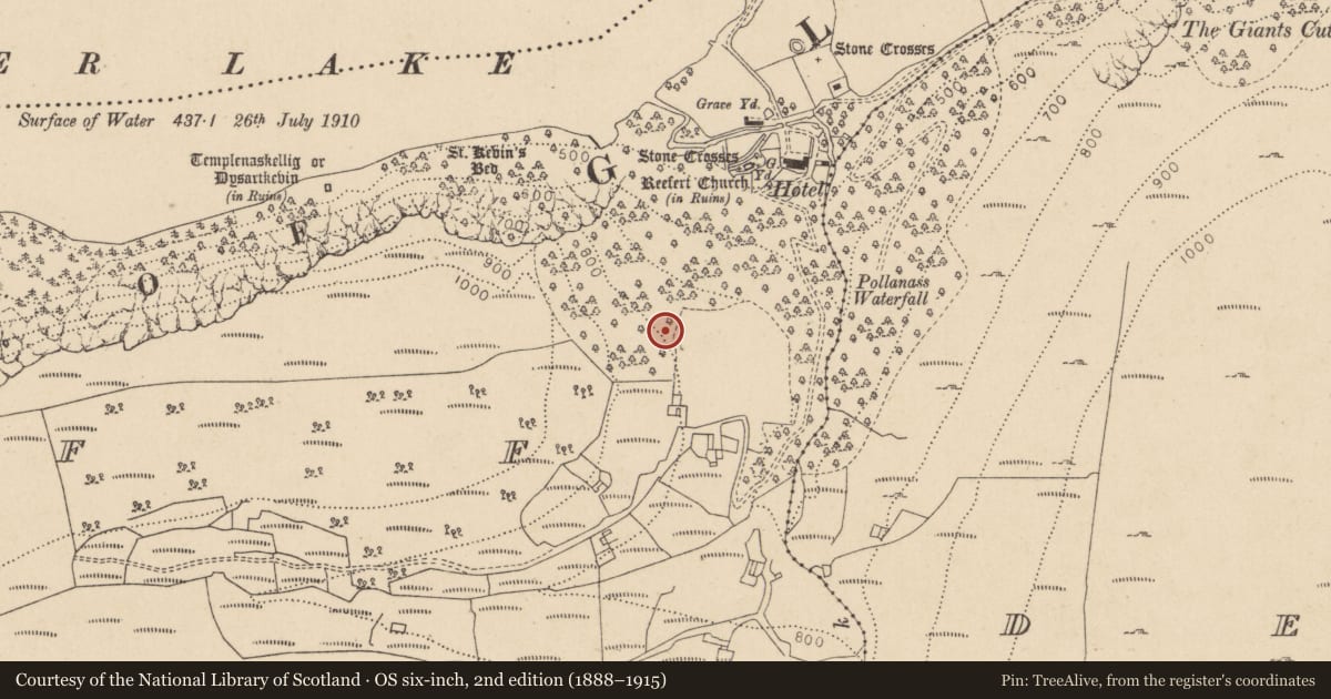 Ordnance Survey six-inch map, 2nd edition (1888–1915) covering the location of Charcoal-making site, Lugduff, County Wicklow, with a pin at the register's coordinates