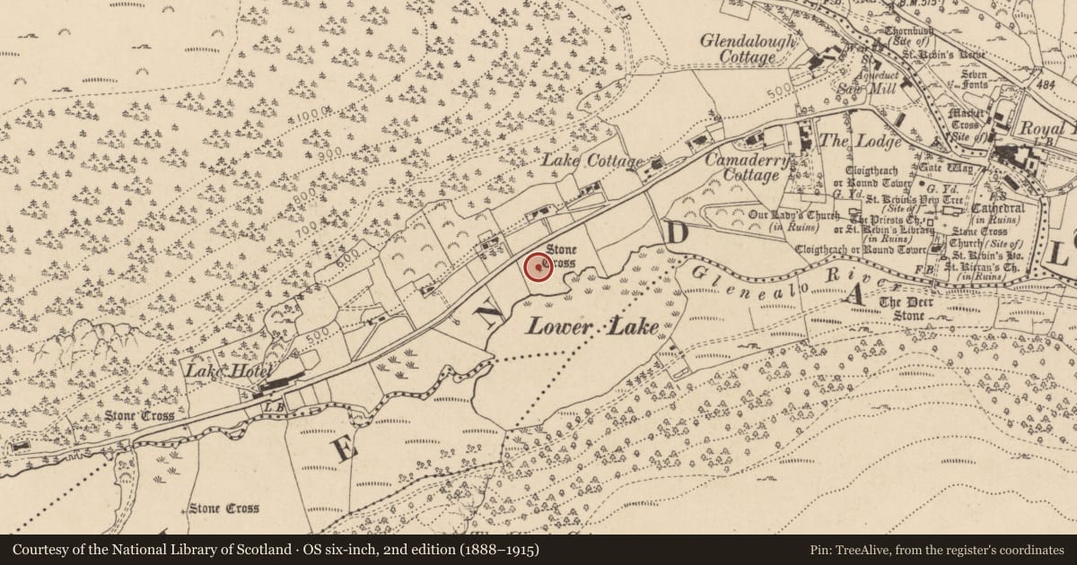 Ordnance Survey six-inch map, 2nd edition (1888–1915) covering the location of Cross - Wayside cross, Sevenchurches Or Camaderry, County Wicklow, with a pin at the register's coordinates