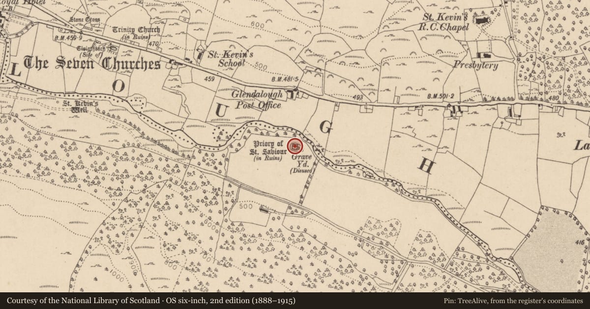 Ordnance Survey six-inch map, 2nd edition (1888–1915) covering the location of Religious house - Augustinian canons, Derrybawn, County Wicklow, with a pin at the register's coordinates