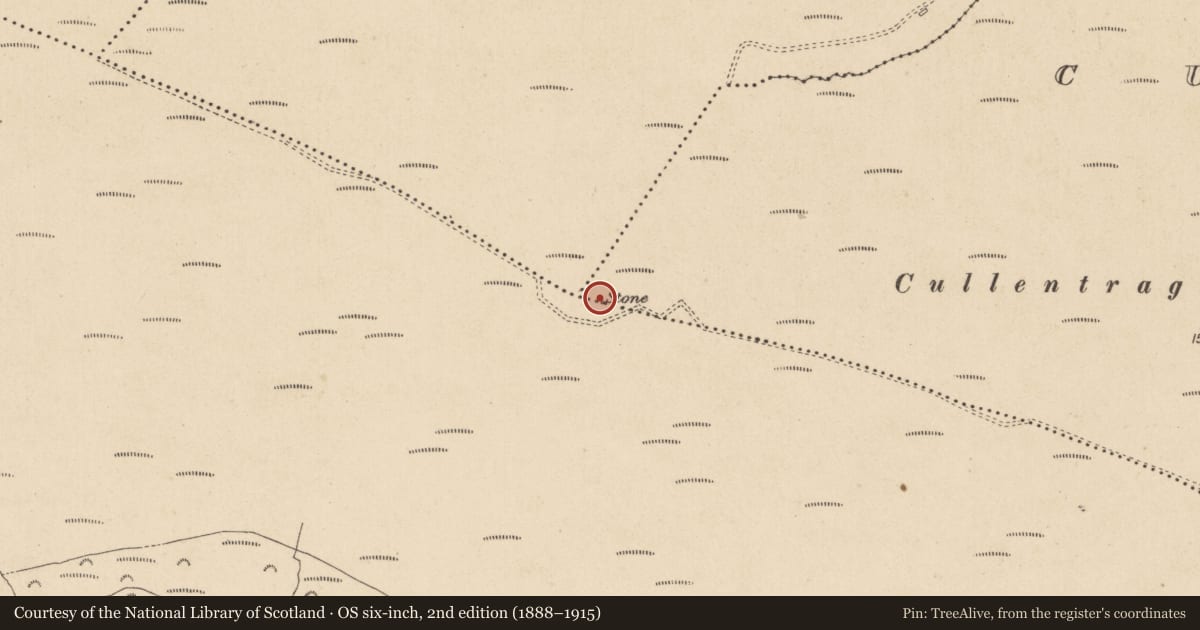 Ordnance Survey six-inch map, 2nd edition (1888–1915) covering the location of Standing stone, Cullentragh Big, County Wicklow, with a pin at the register's coordinates