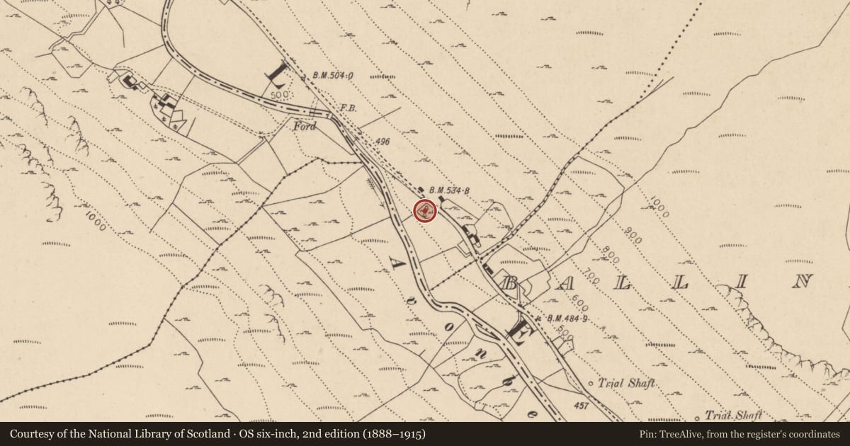 Ordnance Survey six-inch map, 2nd edition (1888–1915) covering the location of Ecclesiastical enclosure, Cullentragh Park, County Wicklow, with a pin at the register's coordinates