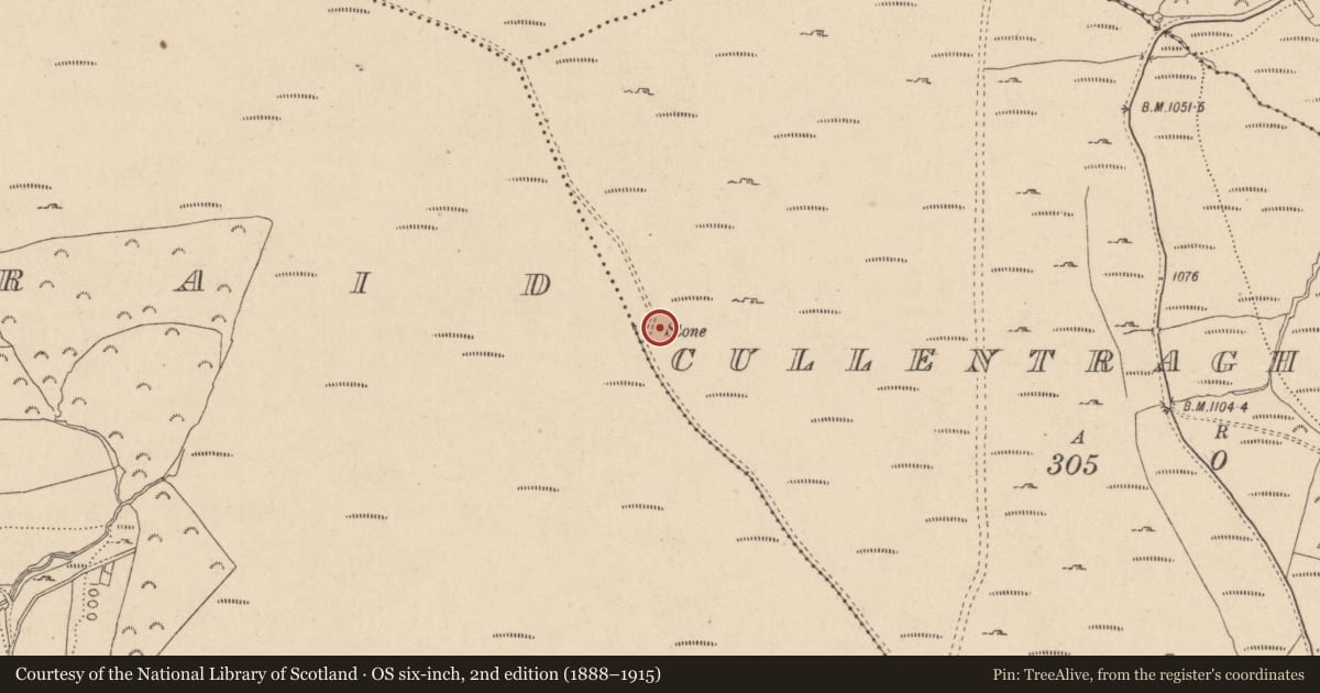 Ordnance Survey six-inch map, 2nd edition (1888–1915) covering the location of Standing stone, Cullentragh Little, County Wicklow, with a pin at the register's coordinates