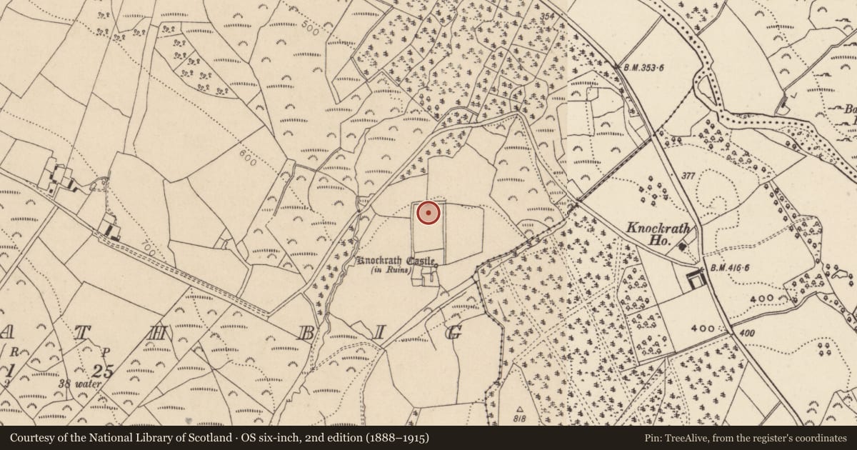 Ordnance Survey six-inch map, 2nd edition (1888–1915) covering the location of Designed landscape - formal garden, Knockrath Big, County Wicklow, with a pin at the register's coordinates