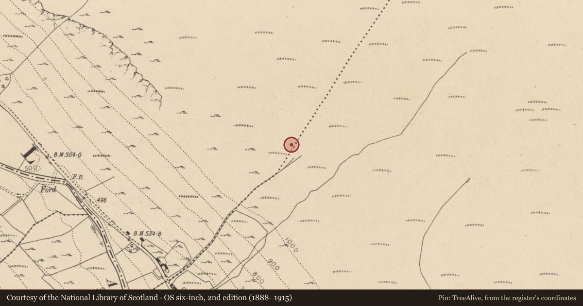 Ordnance Survey six-inch map, 2nd edition (1888–1915) covering the location of Battlefield, Ballinafunshoge, Cullentragh Park, County Wicklow, with a pin at the register's coordinates