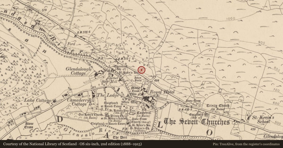 Ordnance Survey six-inch map, 2nd edition (1888–1915) covering the location of Bullaun stone, Brockagh, County Wicklow, with a pin at the register's coordinates