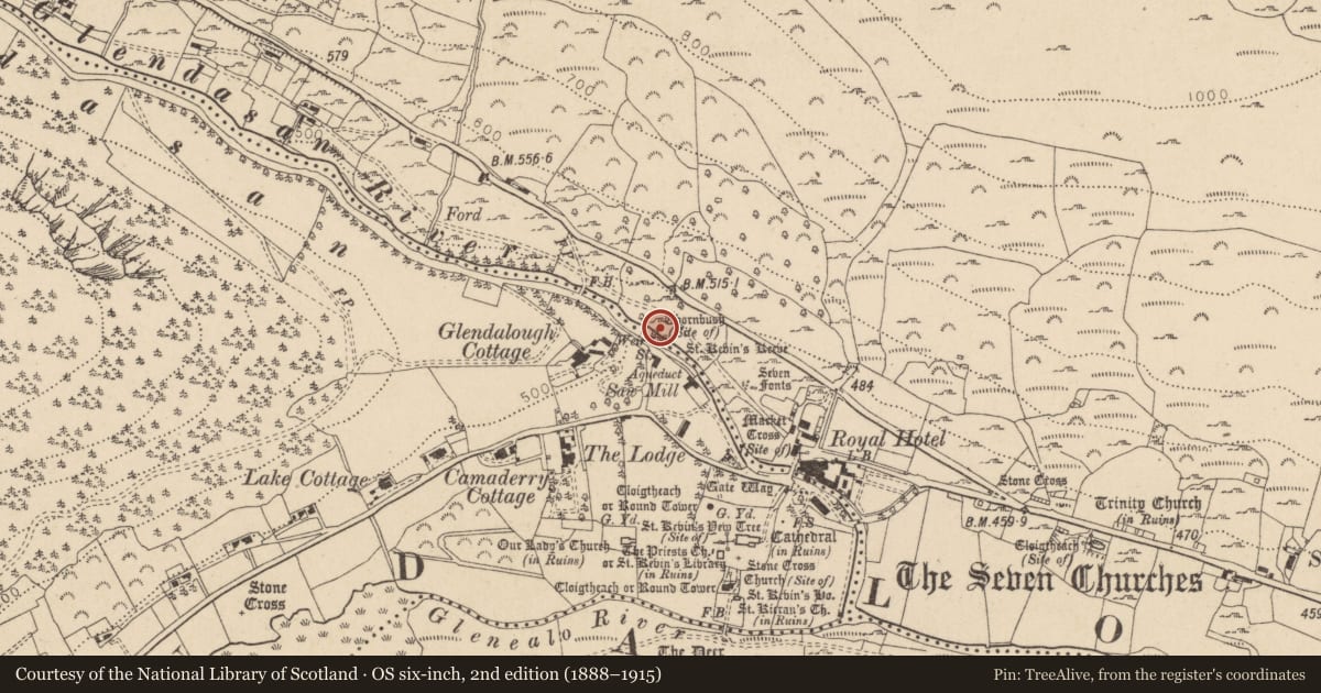 Ordnance Survey six-inch map, 2nd edition (1888–1915) covering the location of Ritual site - holy tree/bush, Brockagh, County Wicklow, with a pin at the register's coordinates