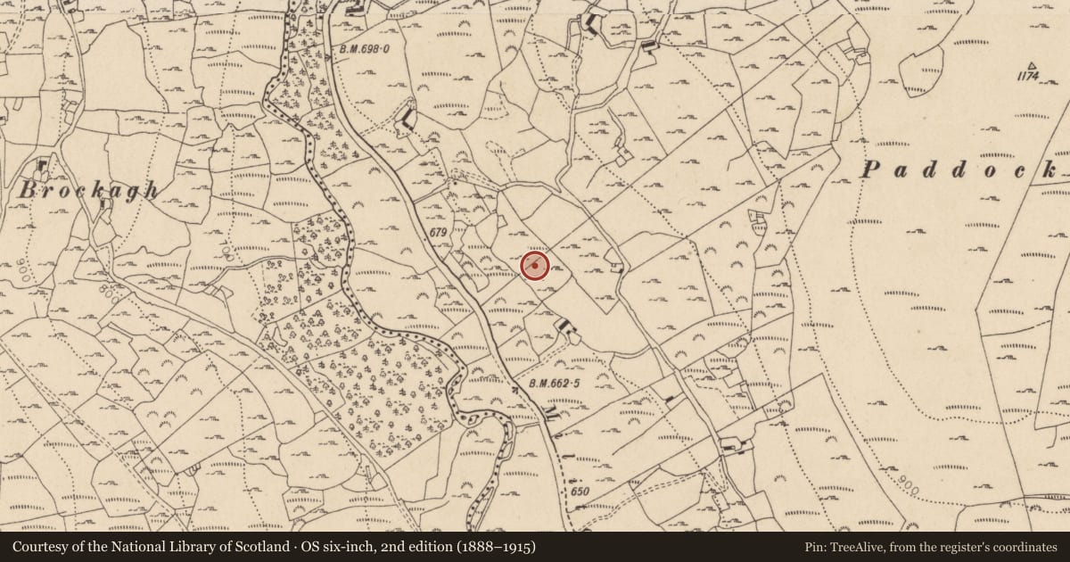 Ordnance Survey six-inch map, 2nd edition (1888–1915) covering the location of Church, Laragh East, County Wicklow, with a pin at the register's coordinates