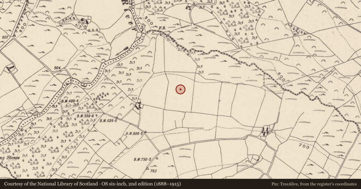 Ordnance Survey six-inch map, 2nd edition (1888–1915) covering the location of Enclosure, Trooperstown, County Wicklow, with a pin at the register's coordinates