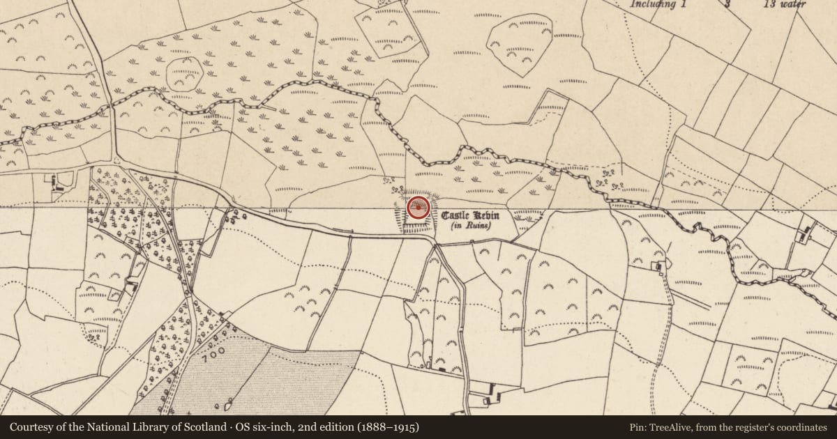 Ordnance Survey six-inch map, 2nd edition (1888–1915) covering the location of Castle - motte and bailey, Castlekevin, County Wicklow, with a pin at the register's coordinates