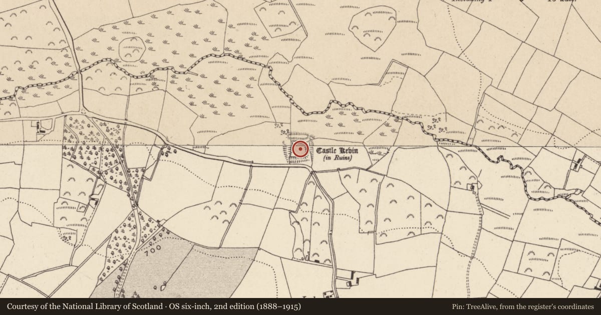 Ordnance Survey six-inch map, 2nd edition (1888–1915) covering the location of Castle - Anglo-Norman masonry castle, Castlekevin, County Wicklow, with a pin at the register's coordinates