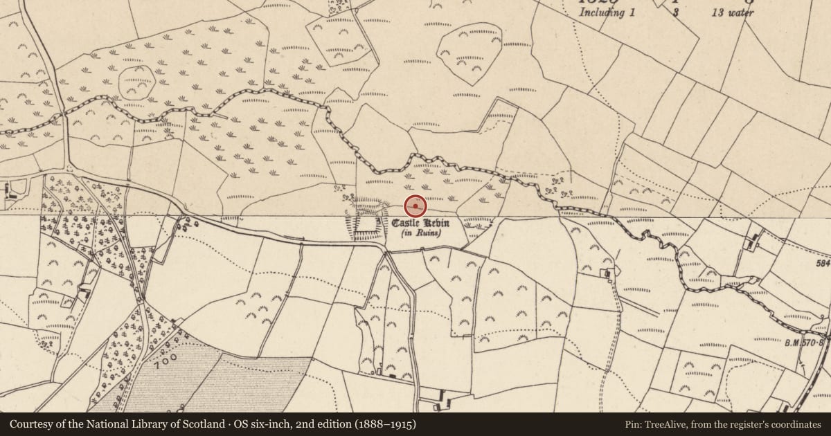 Ordnance Survey six-inch map, 2nd edition (1888–1915) covering the location of Road - hollow-way, Castlekevin, County Wicklow, with a pin at the register's coordinates