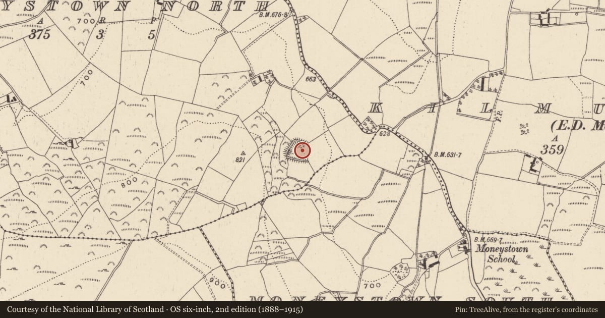 Ordnance Survey six-inch map, 2nd edition (1888–1915) covering the location of Enclosure, Moneystown North, County Wicklow, with a pin at the register's coordinates
