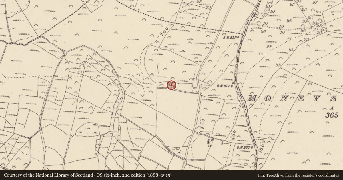 Ordnance Survey six-inch map, 2nd edition (1888–1915) covering the location of Enclosure, Trooperstown, County Wicklow, with a pin at the register's coordinates