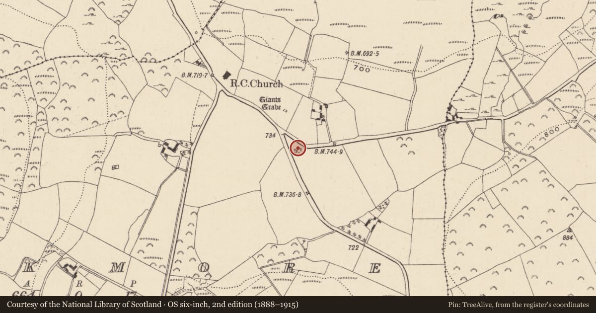 Ordnance Survey six-inch map, 2nd edition (1888–1915) covering the location of Cairn - unclassified, Parkmore, County Wicklow, with a pin at the register's coordinates