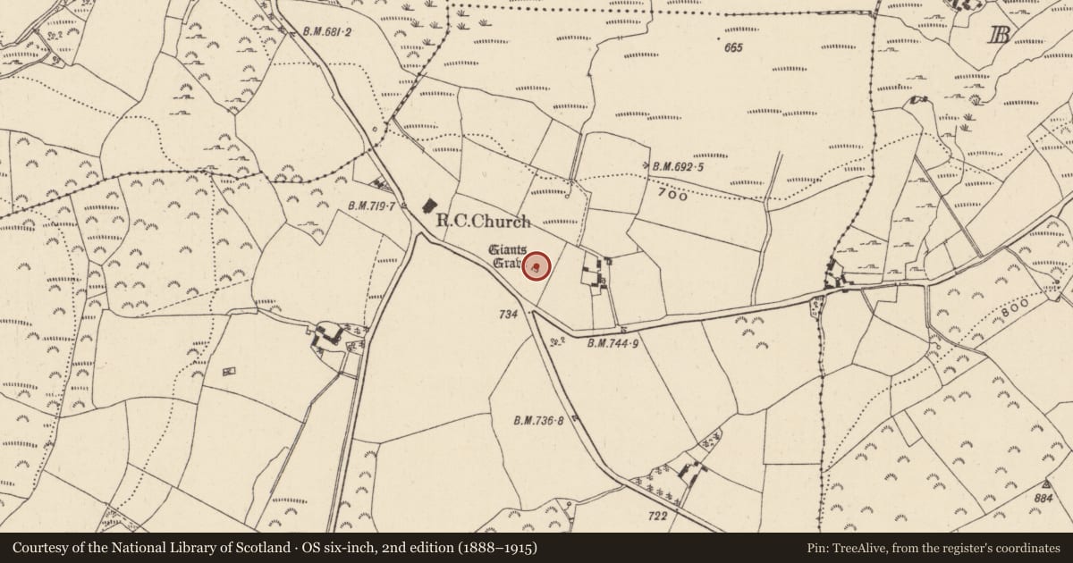 Ordnance Survey six-inch map, 2nd edition (1888–1915) covering the location of Megalithic structure, Parkmore, County Wicklow, with a pin at the register's coordinates