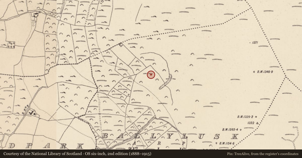 Ordnance Survey six-inch map, 2nd edition (1888–1915) covering the location of Enclosure, Ballylusk, County Wicklow, with a pin at the register's coordinates