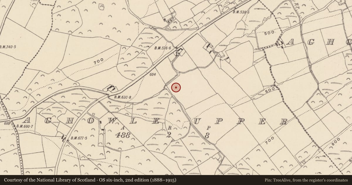 Ordnance Survey six-inch map, 2nd edition (1888–1915) covering the location of Enclosure, Aghowle Upper, County Wicklow, with a pin at the register's coordinates