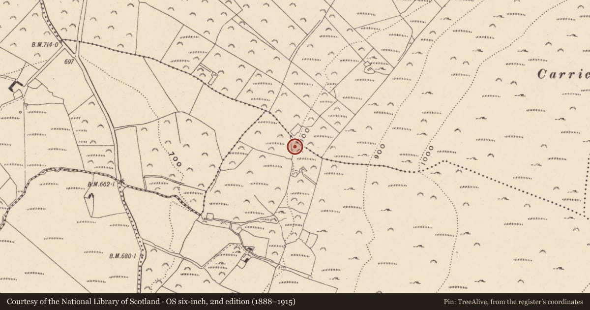 Ordnance Survey six-inch map, 2nd edition (1888–1915) covering the location of Ritual site - holy well, Ballymanus Upper, County Wicklow, with a pin at the register's coordinates