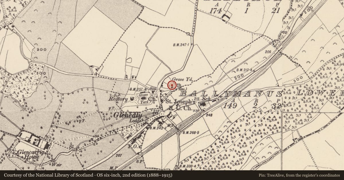 Ordnance Survey six-inch map, 2nd edition (1888–1915) covering the location of Graveyard, Ballymoat, County Wicklow, with a pin at the register's coordinates