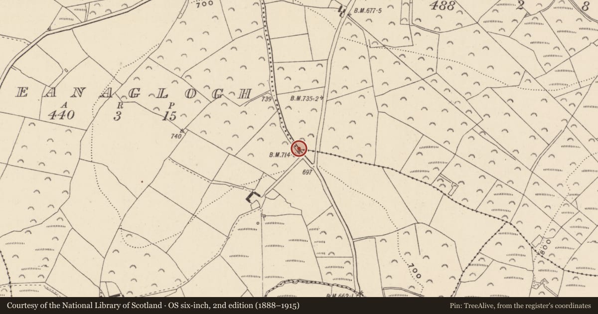 Ordnance Survey six-inch map, 2nd edition (1888–1915) covering the location of Bullaun stone, Sleanaglogh, Aghowle Upper, County Wicklow, with a pin at the register's coordinates